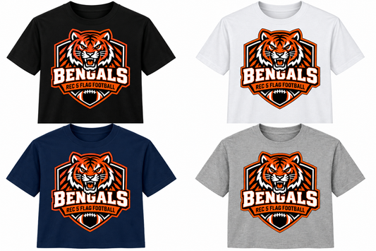 RD5 11-13 Bengals