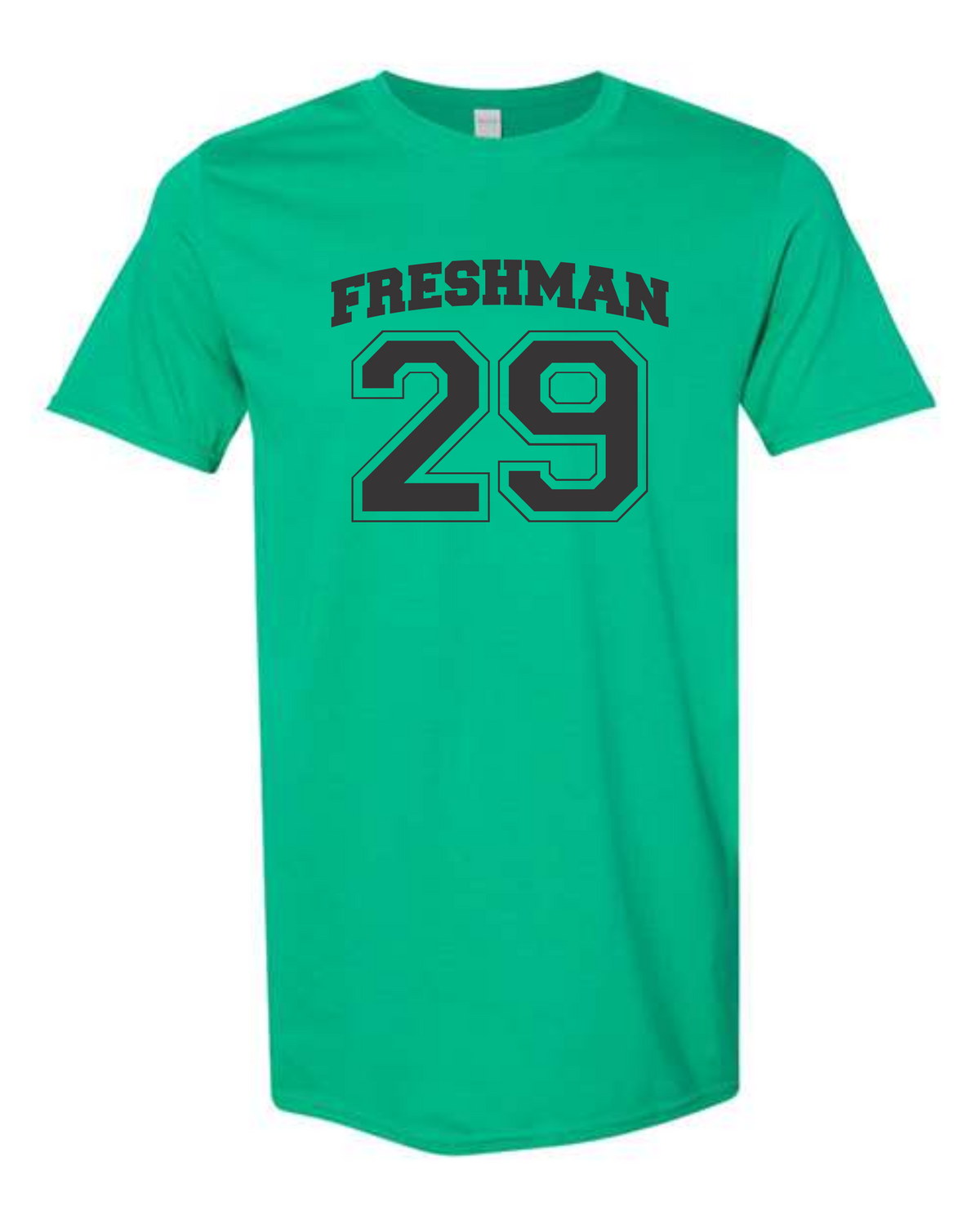 Slidell High Class of 2029 T-Shirt image 0